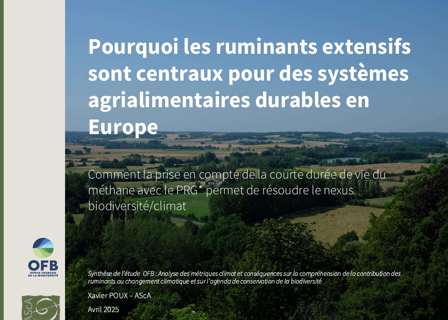 Capture décran 2025-05-14 104535