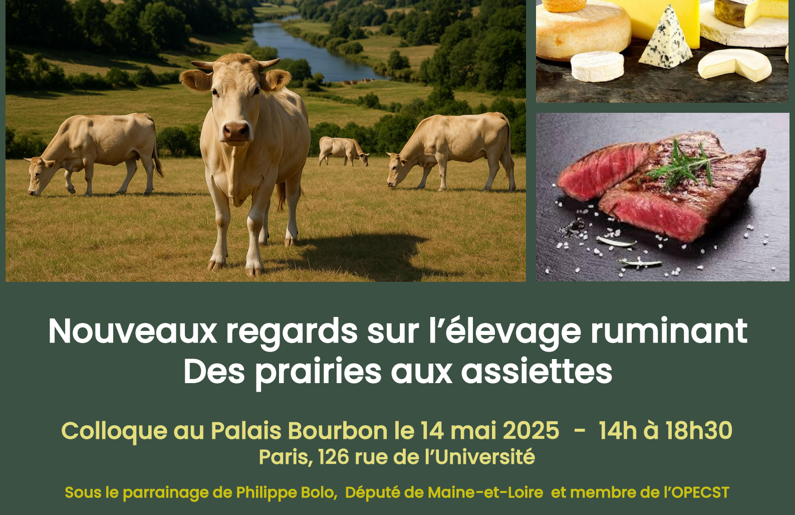 Capture décran 2025-07-31 143234-1